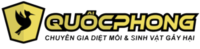 Diệt Mối Quốc Phong